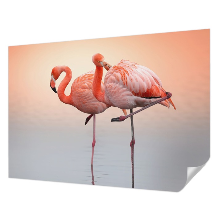 Öntapadós Dekor Tapéta, Wallfluent, Finom flamingók, Narancssárga, 312 x 219 cm, Modern Dizájn, Könnyen Felszerelhető És Tisztítható, 010170060960000284875