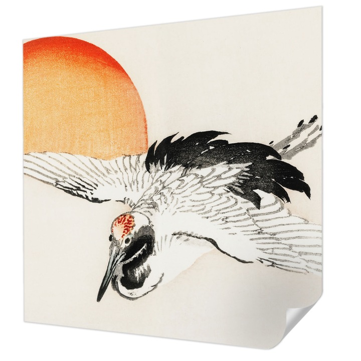 Öntapadós Fotótapéta Falra, Wallfluent, Elegáns daru, Fehér, 250 x 250 cm, Dekoráció, Erős Ragasztó, 010170060030000017938