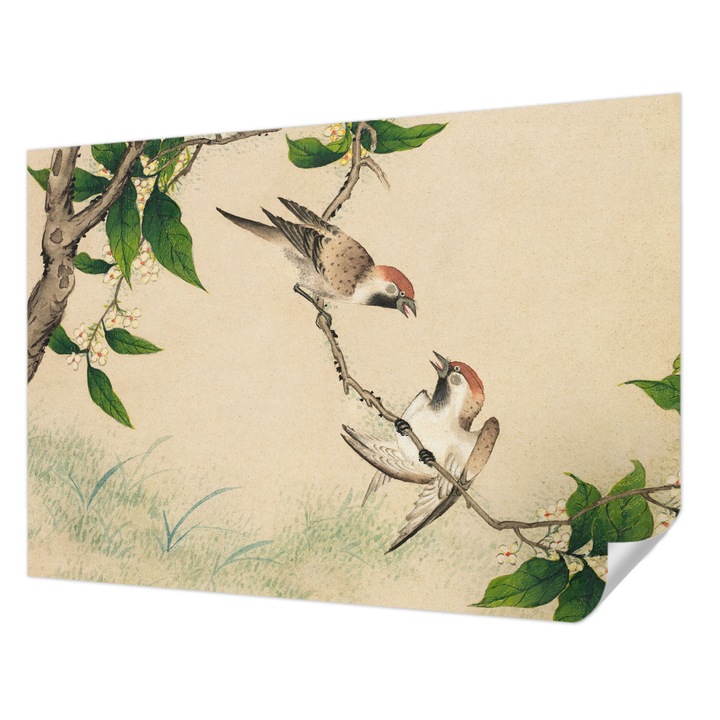 Öntapadós Tapéta Fali Dekoráció, Wallfluent, Klasszikus duó, Bézs, 312 x 219 cm, Könnyen Tisztítható, Nedvességálló, 010170060960000285255