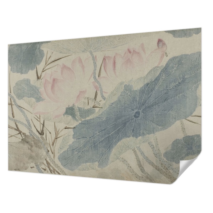 Öntapadós Dekor Tapéta, Wallfluent, Lótuszlevelek, Szürke, 208 x 146 cm, Erős Ragasztó, Modern Belsőépítészeti Dekoráció, 010170060950000285283