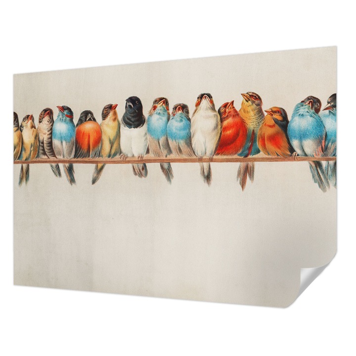 Öntapadós Tapéta Fali Dekoráció, Wallfluent, Madarak egy ágon, Kék, 208 x 146 cm, Klasszikus, Könnyen Felszerelhető, 010170060950000285292