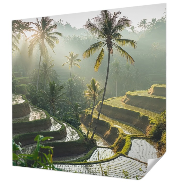 Fali Fotótapéta Autocolant, Wallfluent, Terase paradisiace, Verde, 250 x 250 cm, Pentru Interior, Usor De Curatat, 010170060030000284915