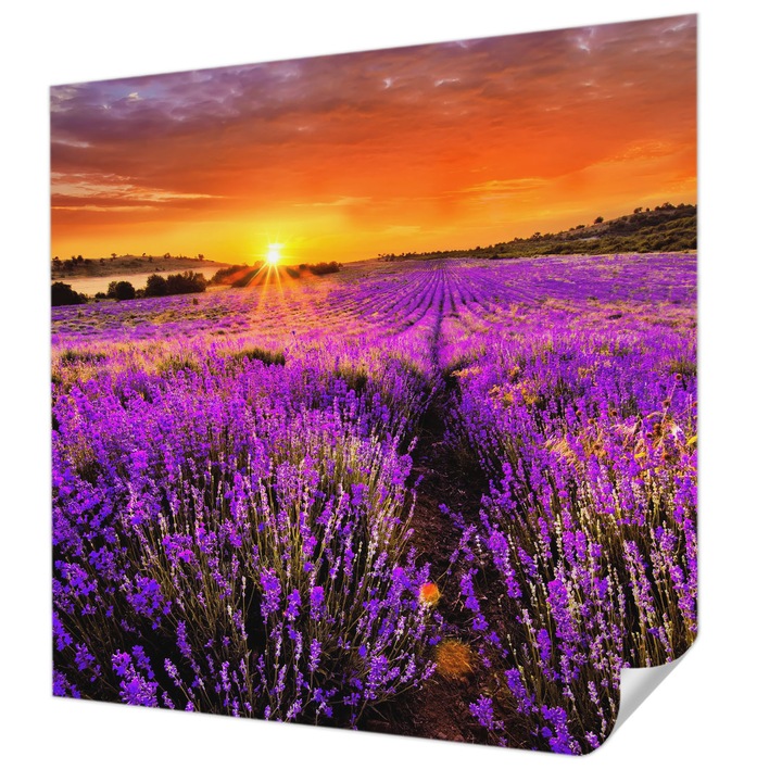 Öntapadós Fotótapéta Falra, Wallfluent, Levendula naplemente, Lila, 250 x 250 cm, Modern Dizájn, Könnyen Felszerelhető És Tisztítható, 010170060030000001765