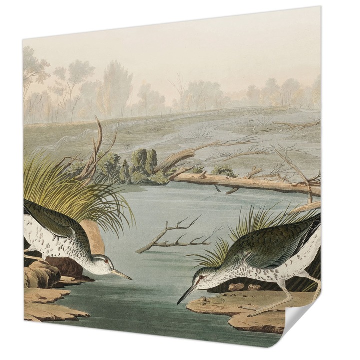 Öntapadós Fotótapéta Falra, Wallfluent, Egy békés táj, Bézs, 250 x 250 cm, Nappaliba, Konyhába, 010170060030000031038