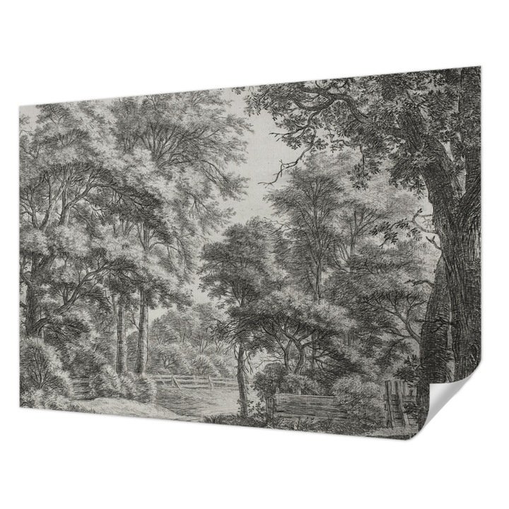 Öntapadós Tapéta Fali Dekoráció, Wallfluent, Erdei táj, Fekete és fehér, 312 x 219 cm, Klasszikus, Könnyen Felszerelhető, 010170060960000285359