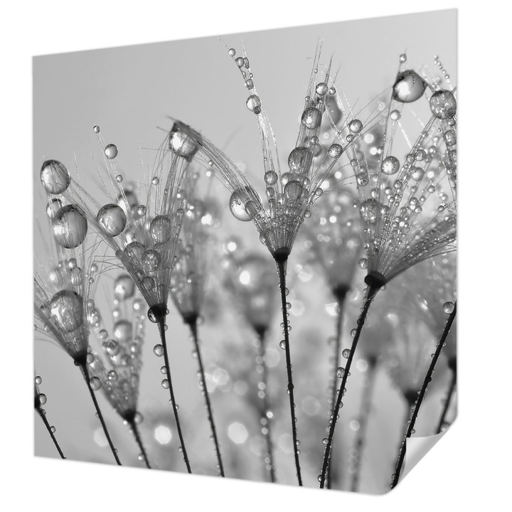 Öntapadós Tapéta Falra, Wallfluent, Nedves finomság, Fehér, 250 x 250 cm, Dekoráció, Klasszikus, 010170060030000000913