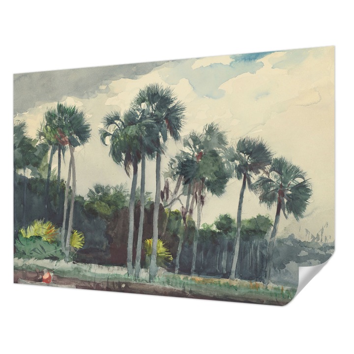 Öntapadós Tapéta Fali Dekoráció, Wallfluent, Egzotikus pálmafák, Zöld, 208 x 146 cm, Könnyen Tisztítható, Nedvességálló, 010170060950000285387