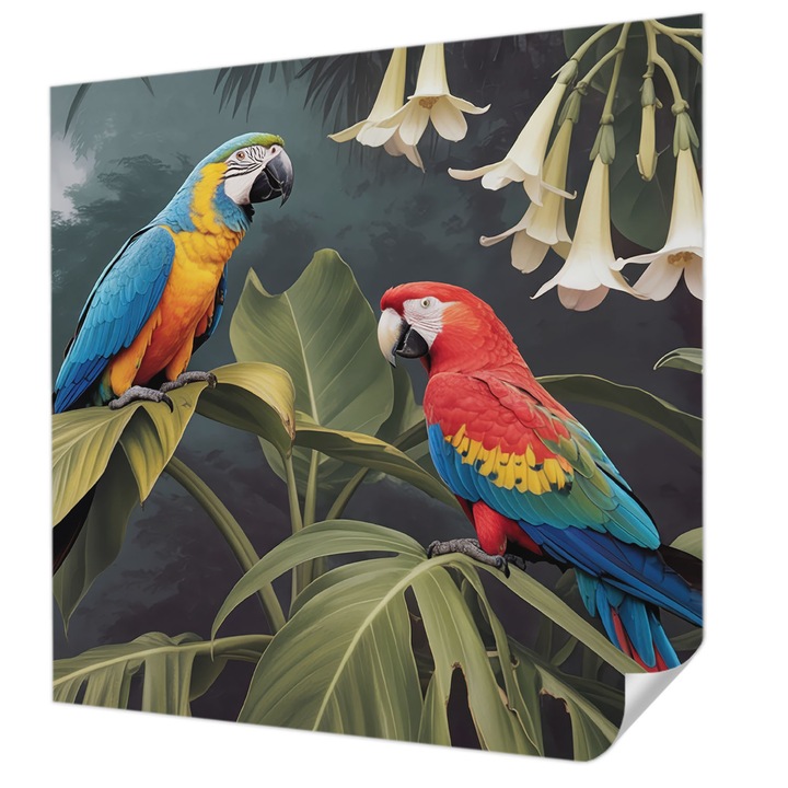 Öntapadós Tapéta Fali Dekoráció, Wallfluent, Színes papagájok, Fekete, 250 x 250 cm, Könnyen Tisztítható, Nedvességálló, 010170060030000284907