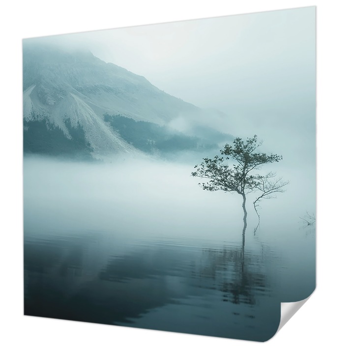 Öntapadós Fotótapéta Falra, Wallfluent, A természet miszticizmusa, Szürke, 250 x 250 cm, Előszobába, Hálószobába, 010170060030000285016