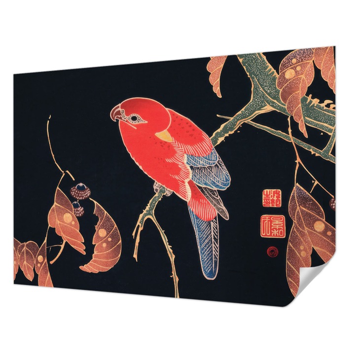 Öntapadós Tapéta Fali Dekoráció, Wallfluent, Egzotikus madár, Fekete, 208 x 146 cm, Előszobába, Hálószobába, 010170060950000285416