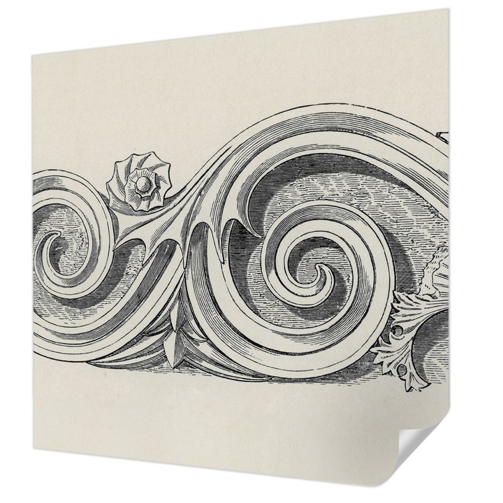 Öntapadós Tapéta Falra, Wallfluent, Növényi dísz, Fekete és fehér, 250 x 250 cm, Fali Dekoráció, Nedvesség- És Foltálló, 010170060030000285264