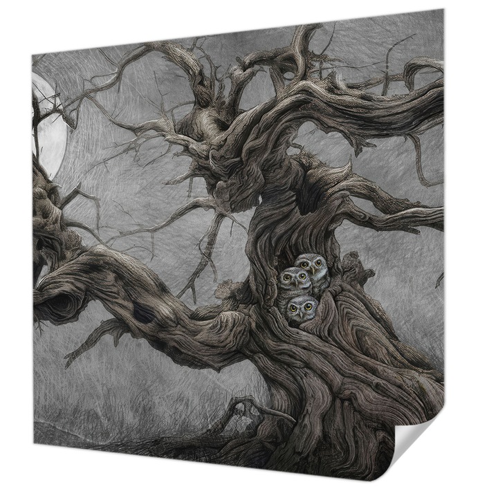 Öntapadós Tapéta Fali Dekoráció, Wallfluent, Titokzatos bagoly, Szürke, 250 x 250 cm, Könnyen Tisztítható, Nedvességálló, 010170060030000285287