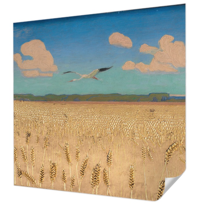 Öntapadós Dekor Tapéta, Wallfluent, Búzamező, Fehér, 250 x 250 cm, Nappaliba, Konyhába, 010170060030000285284