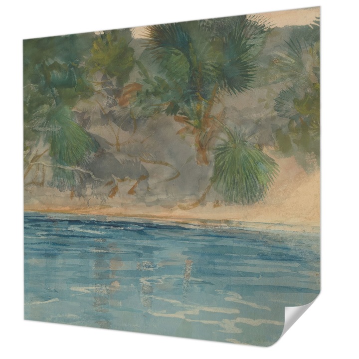 Öntapadós Dekor Tapéta, Wallfluent, Trópusi part, Zöld, 250 x 250 cm, Előszobába, Hálószobába, 010170060030000285288