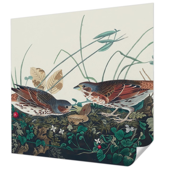 Öntapadós Tapéta Falra, Wallfluent, A természet varázsa, Szürke, 250 x 250 cm, Fali Dekoráció, Nedvesség- És Foltálló, 010170060030000285297