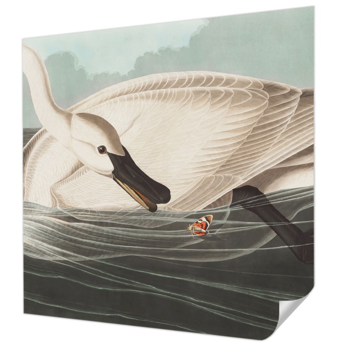 Öntapadós Tapéta Falra, Wallfluent, A természet harmóniája, Fehér, 250 x 250 cm, Könnyen Tisztítható, Nedvességálló, 010170060030000285296