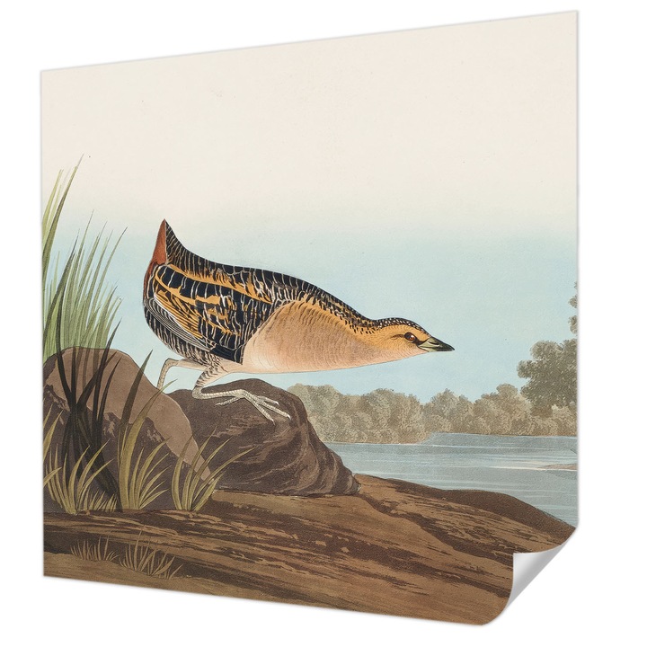 Öntapadós Tapéta Falra, Wallfluent, Természetes jelenet, Zöld, 250 x 250 cm, Erős Ragasztó, Modern Belsőépítészeti Dekoráció, 010170060030000285299