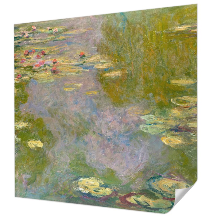 Öntapadós Tapéta Falra, Wallfluent, Tavirózsák, Zöld, 250 x 250 cm, Klasszikus, Könnyen Felszerelhető, 010170060030000285301