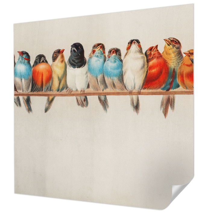 Öntapadós Tapéta Fali Dekoráció, Wallfluent, Madarak egy ágon, Kék, 250 x 250 cm, Klasszikus, Könnyen Felszerelhető, 010170060030000285292