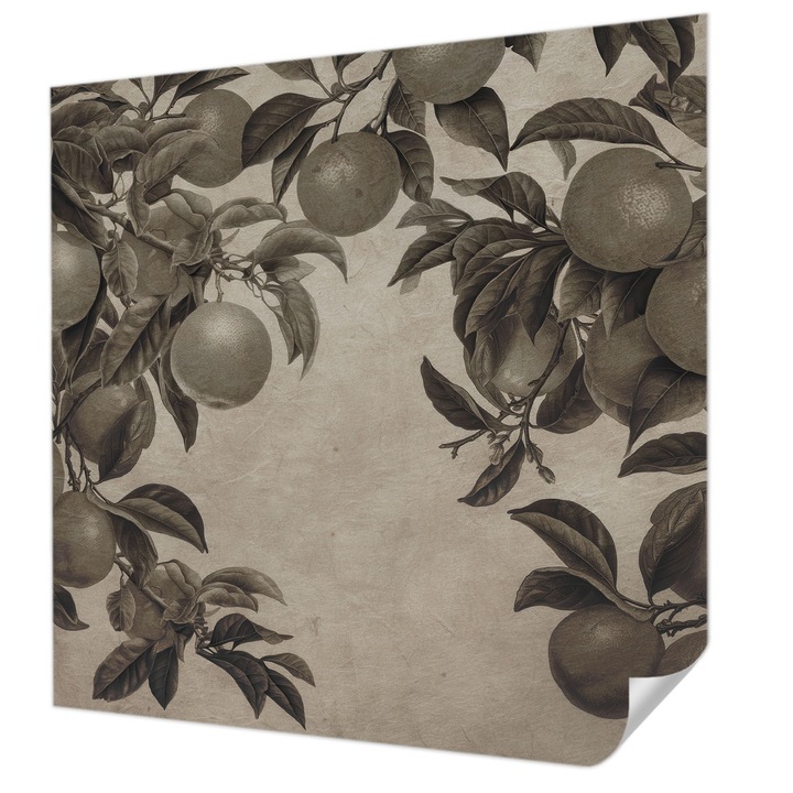 Öntapadós Fotótapéta Falra, Wallfluent, Gyümölcsminta, Szürke, 250 x 250 cm, Dekoráció, Erős Ragasztó, 010170060030000285310