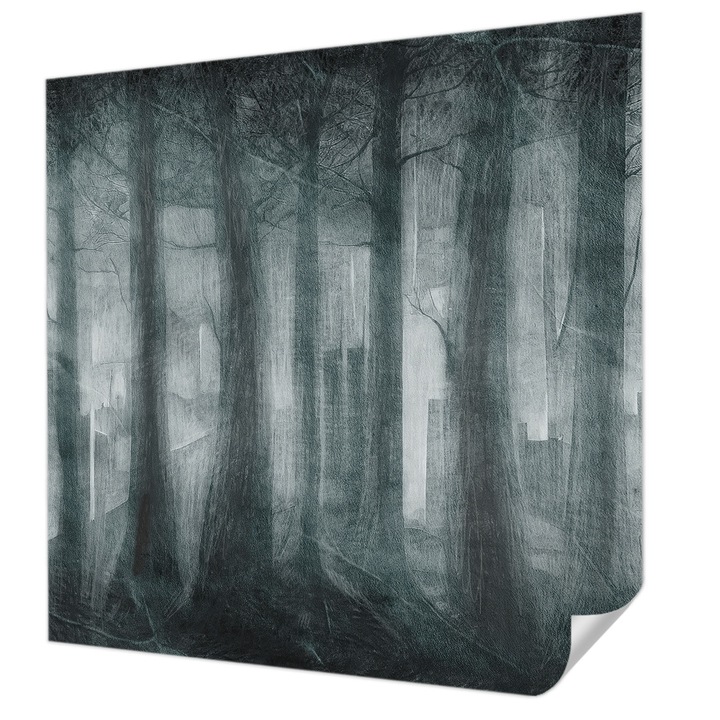 Öntapadós Fotótapéta Falra, Wallfluent, Titokzatos erdő, Szürke, 250 x 250 cm, Könnyen Tisztítható, Nedvességálló, 010170060030000285306