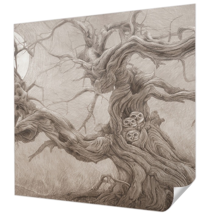 Öntapadós Fotótapéta Falra, Wallfluent, Éjszakai madarak, Bézs, 250 x 250 cm, Modern Dizájn, Könnyen Felszerelhető És Tisztítható, 010170060030000285274