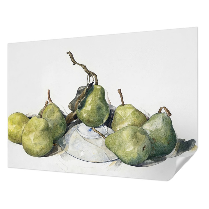 Öntapadós Fotótapéta Falra, Wallfluent, Akvarell körte, Zöld, 208 x 146 cm, Nappaliba, Konyhába, 010170060950000285464