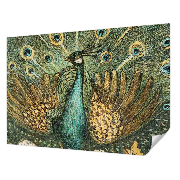 Tapet Autodeziv De Perete, Wallfluent, Paun maiestuos, Verde, 312 x 219 cm, Pentru Baie, Bucatarie, 010170060960000285476