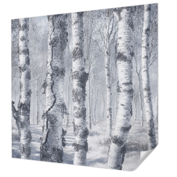 Öntapadós Dekor Tapéta, Wallfluent, Fagyos természet, Szürke, 250 x 250 cm, Dekoráció, Falra, 010170060030000285319