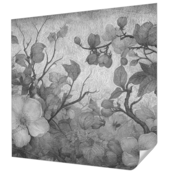 Öntapadós Fotótapéta Falra, Wallfluent, Virágág, Fekete és fehér, 250 x 250 cm, Előszobába, Hálószobába, 010170060030000285312