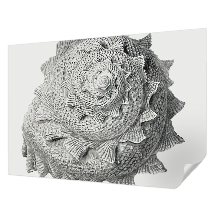 Tapet Textil Autocolant, Wallfluent, Arta naturii, Gri, 312 x 219 cm, Pentru Perete, Rezistente La Apa, Umiditate Si Pete, 010170060960000285491