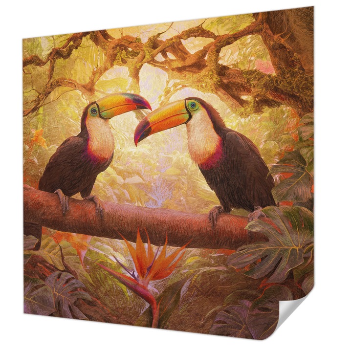 Öntapadós Fotótapéta Falra, Wallfluent, Színes tukánok, Barna, 250 x 250 cm, Előszobába, Hálószobába, 010170060030000285345