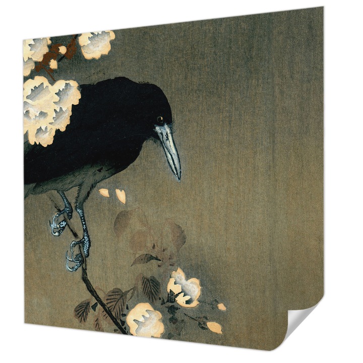 Öntapadós Dekor Tapéta, Wallfluent, Egzotikus természet, Szürke, 250 x 250 cm, Fali Dekoráció, Nedvesség- És Foltálló, 010170060030000285346