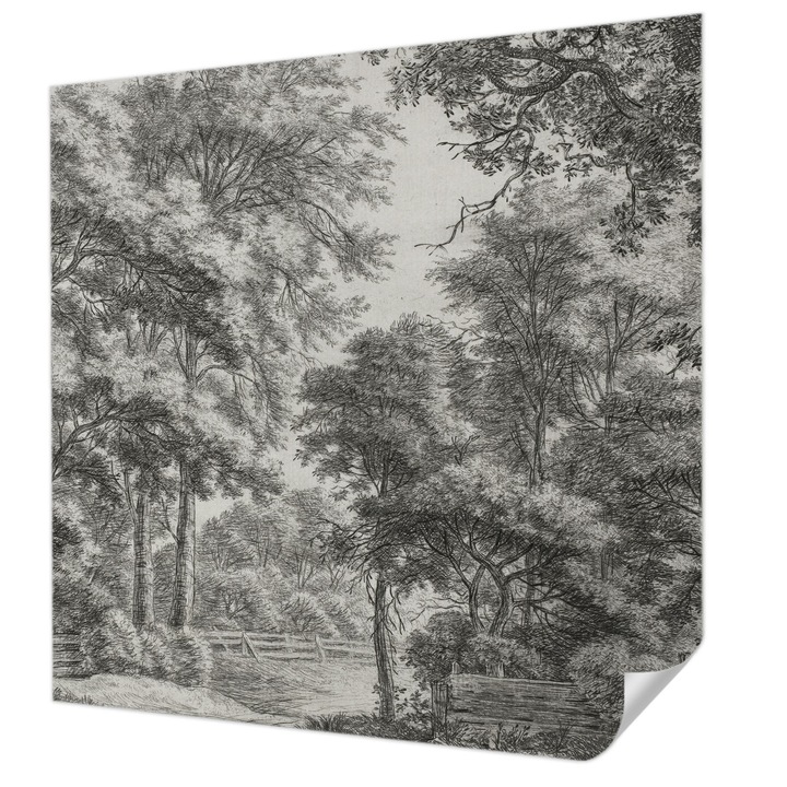 Öntapadós Tapéta Fali Dekoráció, Wallfluent, Erdei táj, Fekete és fehér, 250 x 250 cm, Klasszikus, Könnyen Felszerelhető, 010170060030000285359