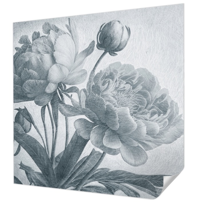 Öntapadós Fotótapéta Falra, Wallfluent, Virágos elegancia, Szürke, 250 x 250 cm, Dekoráció, Erős Ragasztó, 010170060030000285342