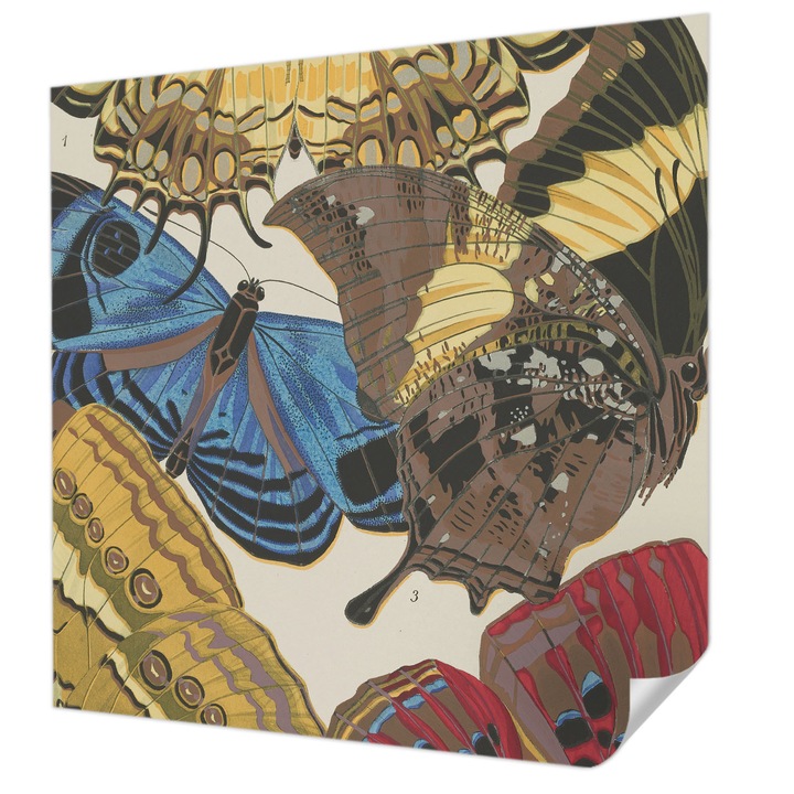 Öntapadós Fotótapéta Falra, Wallfluent, Pillangók inspirációja, Fekete, 250 x 250 cm, Modern Dizájn, Könnyen Felszerelhető És Tisztítható, 010170060030000285372