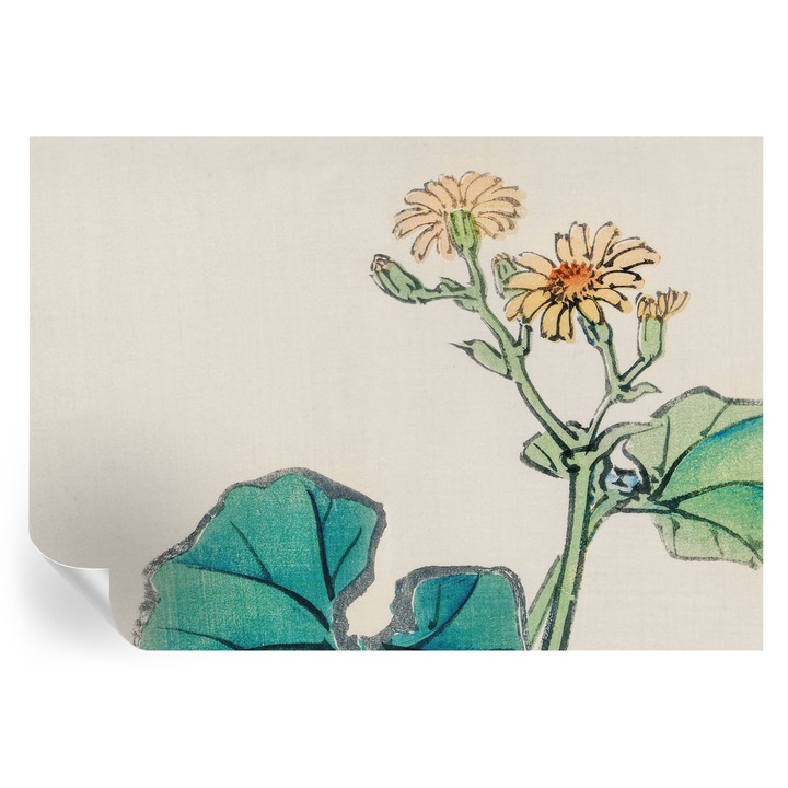 Öntapadós Tapéta Fali Dekoráció, Tulup, Virág és levelek, Fehér, 208 x 146 cm, Dekor, Könnyen Tisztítható, 010170060950000017994