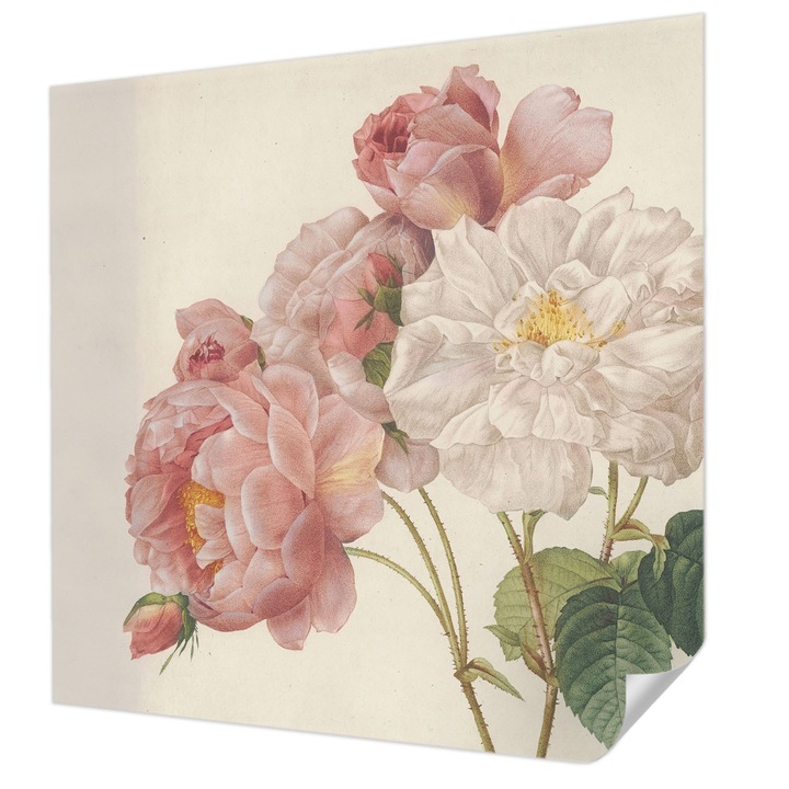 Öntapadós Dekor Tapéta, Wallfluent, Romantikus rózsák, Rózsaszín, 250 x 250 cm, Modern Dizájn, Könnyen Felszerelhető És Tisztítható, 010170060030000285380