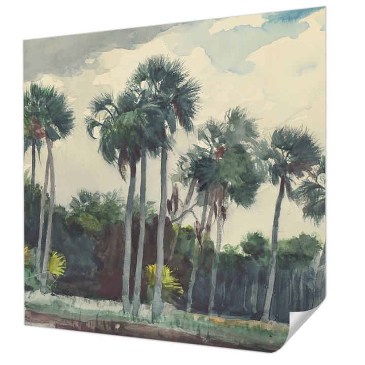 Öntapadós Tapéta Fali Dekoráció, Wallfluent, Egzotikus pálmafák, Zöld, 250 x 250 cm, Könnyen Tisztítható, Nedvességálló, 010170060030000285387