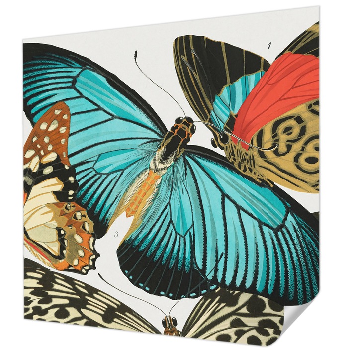 Öntapadós Dekor Tapéta, Wallfluent, Színes pillangók, Türkiz, 250 x 250 cm, Dekoráció, Falra, 010170060030000285384