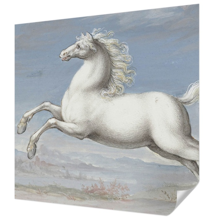 Öntapadós Tapéta Fali Dekoráció, Wallfluent, Lovak a ugrásban, Fehér, 250 x 250 cm, Modern Dizájn, Könnyen Felszerelhető És Tisztítható, 010170060030000285393