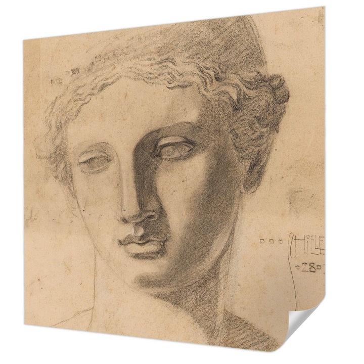 Öntapadós Tapéta Falra, Wallfluent, Női portré, Bézs, 250 x 250 cm, Dekoráció, Klasszikus, 010170060030000285401