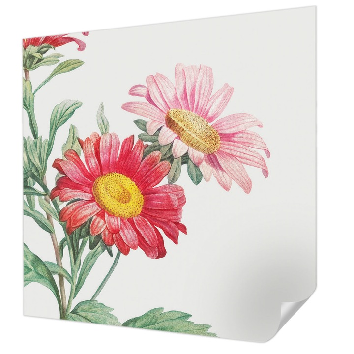 Öntapadós Fotótapéta Falra, Wallfluent, Finom virágok, Piros, 250 x 250 cm, Nappaliba, Konyhába, 010170060030000285414