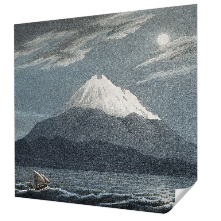 Öntapadós Tapéta Fali Dekoráció, Wallfluent, Holdfényes éjszaka, Kék, 250 x 250 cm, Modern Dizájn, Nedvesség- És Foltálló, 010170060030000285341