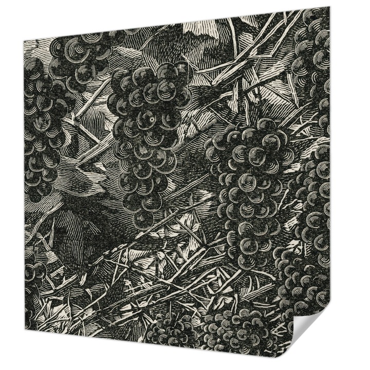 Öntapadós Tapéta Falra, Wallfluent, Szőlőminta, Fekete és fehér, 250 x 250 cm, Könnyen Tisztítható, Nedvességálló, 010170060030000285418