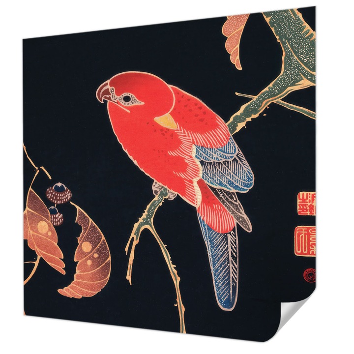 Öntapadós Tapéta Fali Dekoráció, Wallfluent, Egzotikus madár, Fekete, 250 x 250 cm, Előszobába, Hálószobába, 010170060030000285416