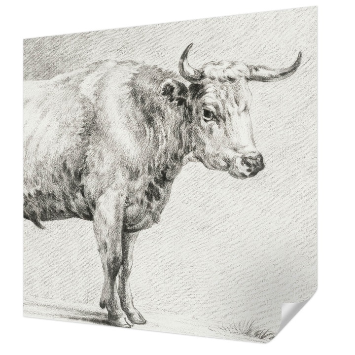 Öntapadós Tapéta Falra, Wallfluent, Bika ceruza, Szürke, 250 x 250 cm, Klasszikus, Könnyen Felszerelhető, 010170060030000285421