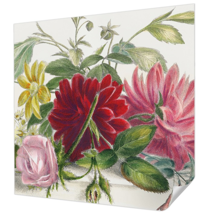 Öntapadós Fotótapéta Falra, Wallfluent, Virágcsokor, Zöld, 250 x 250 cm, Modern Dizájn, Könnyen Felszerelhető És Tisztítható, 010170060030000285428