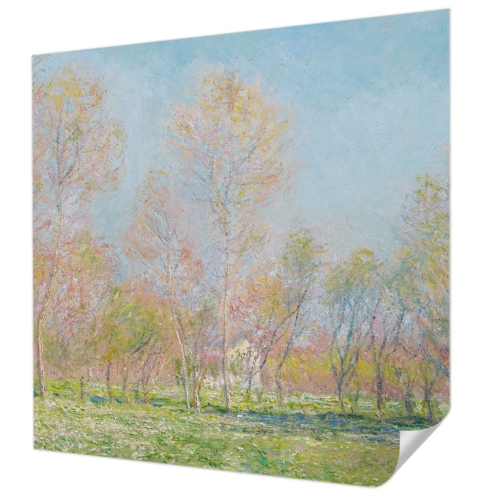 Öntapadós Dekor Tapéta, Wallfluent, Tavaszi park, Kék, 250 x 250 cm, Dekoráció, Falra, 010170060030000285439