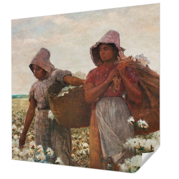 Öntapadós Tapéta Falra, Wallfluent, Terepi munka, Fehér, 250 x 250 cm, Előszobába, Hálószobába, 010170060030000285457